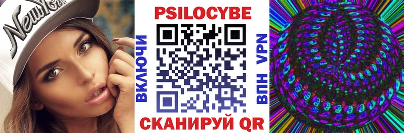 сколько стоит Александровск-Сахалинский Псилоцибиновые грибы Psilocybine cubensis